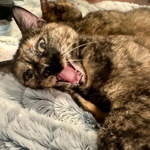 Make an offer or if you like multiple listings pls create a bundle 2 make a deal